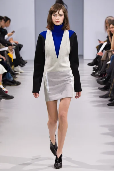 Look 29